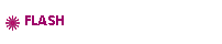 Flash